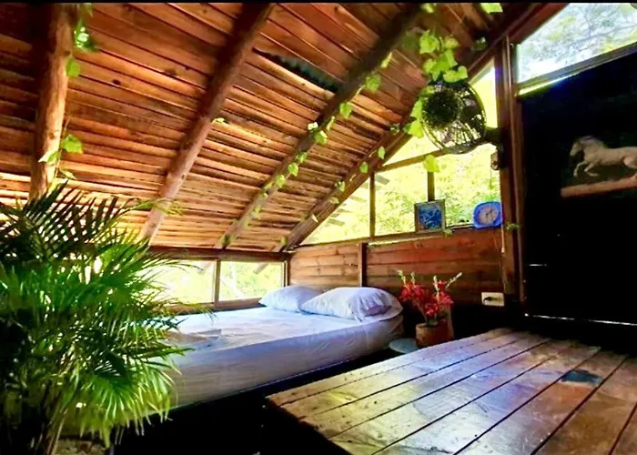 Tamarindo Beach Hostel