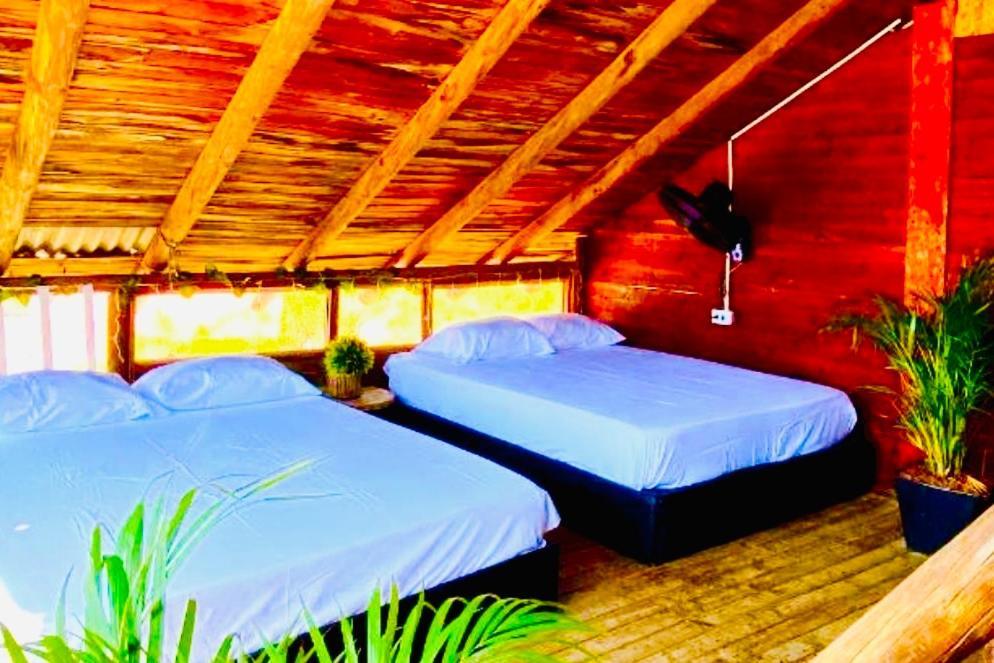 Tamarindo