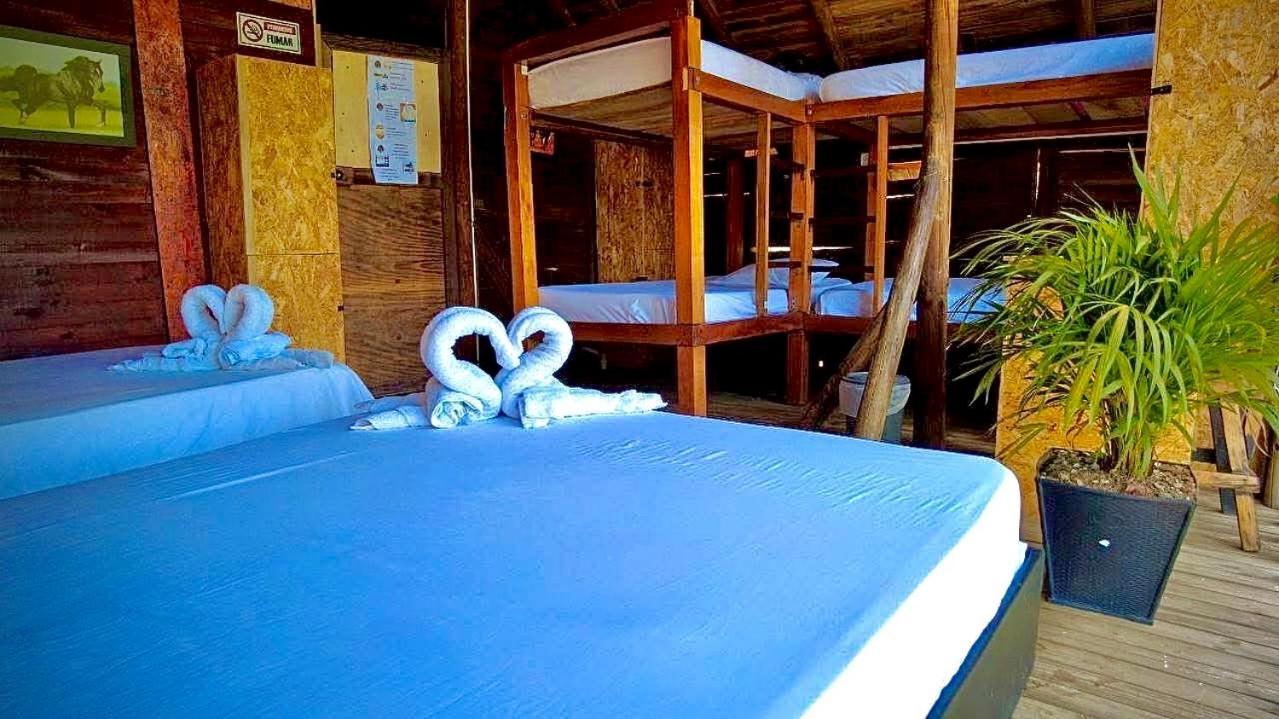 Tamarindo Auberge de jeunesse *