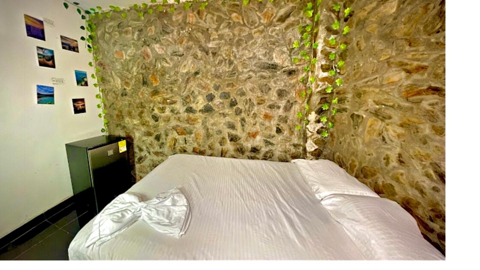 Auberge de jeunesse Tamarindo