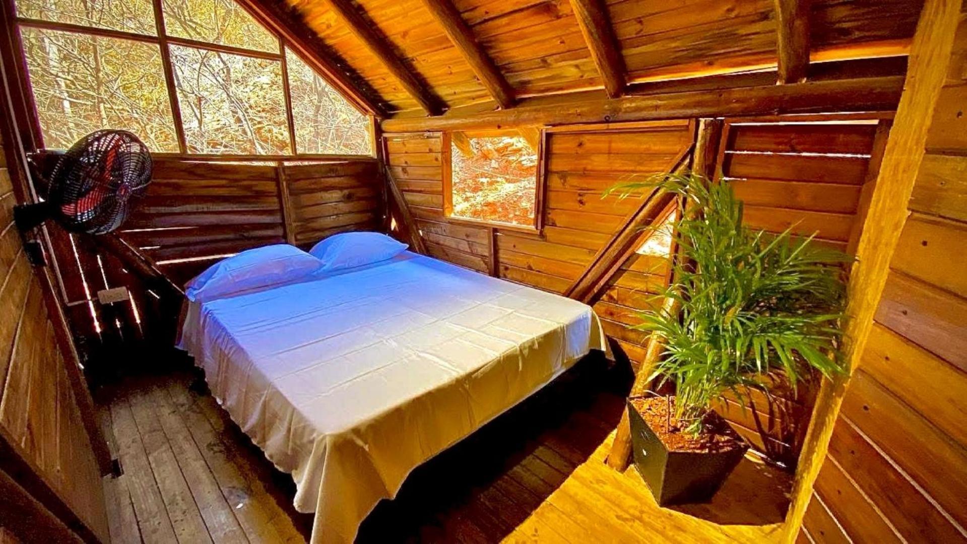 Auberge de jeunesse Tamarindo *